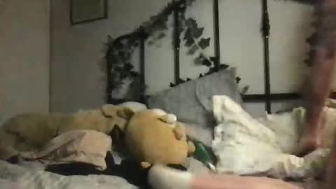 hani__moon_ online show from 13, 11, 2025