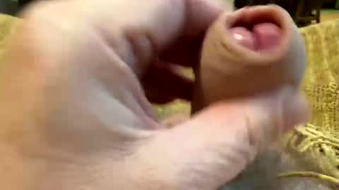 happygerman68 online show from 27, 10, 2025