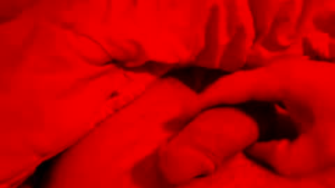 Small things matters online show from 24, 3, 2026