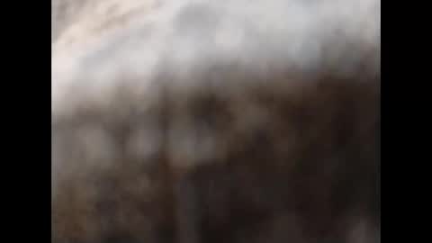 hardandhorny422 online show from 11, 11, 2025