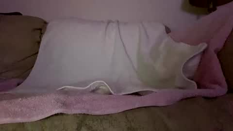 Slim West Cox online show from 11, 2, 2026