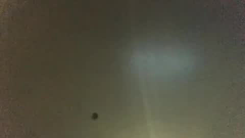 For You online show from 24, 11, 2025