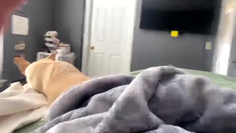 hardnthickm55 online show from 17, 1, 2025