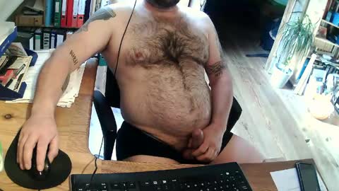 harleywerner online show from 16, 4, 2026