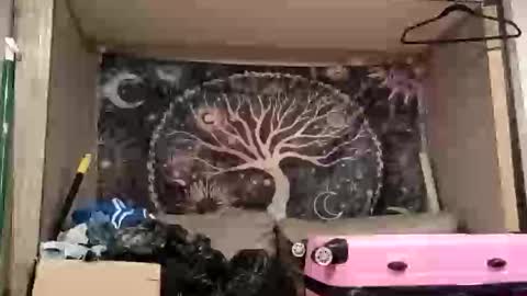 harlleymiller673 online show from 17, 10, 2025