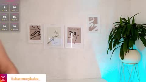 Snapshot of harmonybabe_ chatting on 8, 11, 2025 Harmony online show from 8, 11, 2025