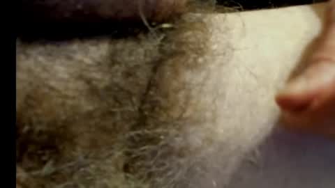 Snapshot of harry_banana chatting on 20, 1, 2025 harry_banana online show from 20, 1, 2025