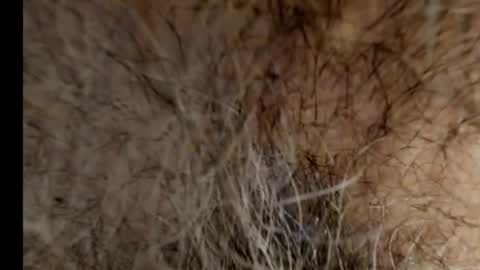 Snapshot of harry_banana chatting on 21, 2, 2025 harry_banana online show from 21, 2, 2025