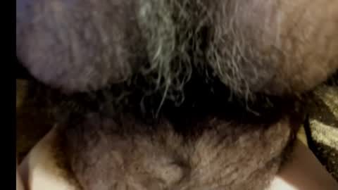 Snapshot of harry_banana chatting on 8, 3, 2025 harry_banana online show from 8, 3, 2025