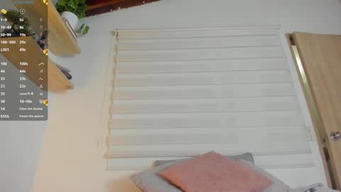 Snapshot of hazel_shy chatting on 13, 12, 2024 Im Hazel online show from 13, 12, 2024