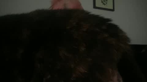 Bunnie Rotz online show from 2, 3, 2025