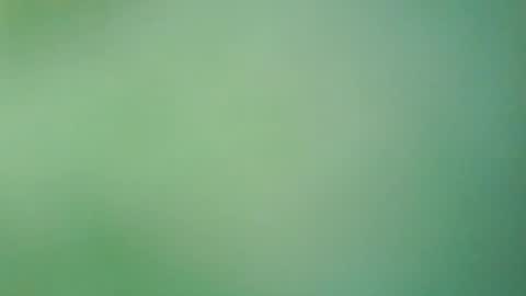 hello_night online show from 27, 7, 2026