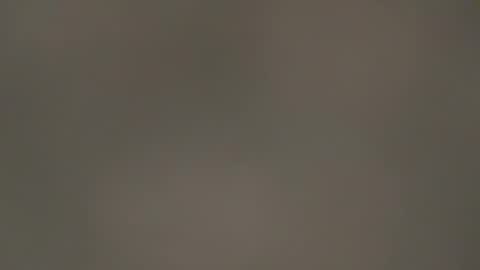 hellohowareyou66 online show from 13, 3, 2026