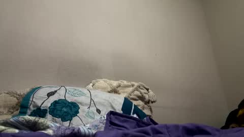 Snapshot of hellokitten123 chatting on 28, 1, 2025 hellokitten123 online show from 28, 1, 2025