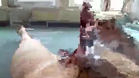 hera44 online show from 9, 10, 2025