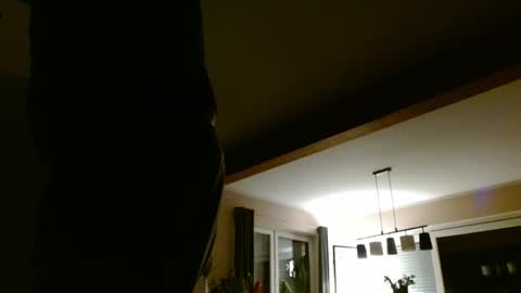 Snapshot of hering76 chatting on 1, 3, 2025 hering76 online show from 1, 3, 2025