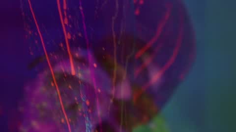 Alina online show from 8, 9, 2025