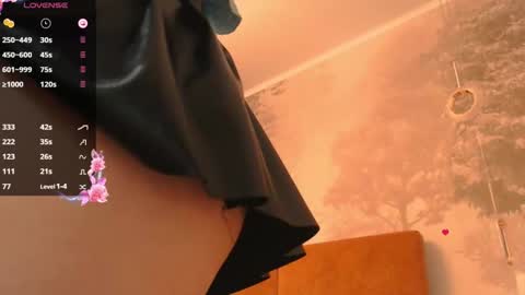 Hiaru online show from 11, 12, 2024