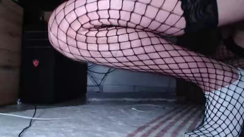 InMyAss online show from 16, 12, 2025