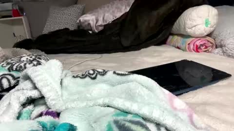Bondage blondiie online show from 5, 6, 2026