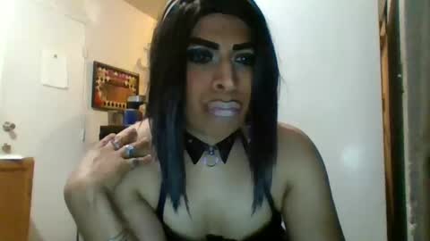 hihheelstranny online show from 27, 3, 2026