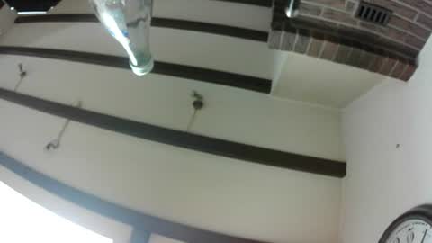 Snapshot of hofnung chatting on 29, 6, 2026 hofnung online show from 29, 6, 2026