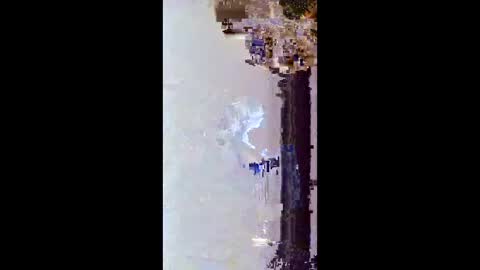 hoglegg99384194 online show from 15, 1, 2026