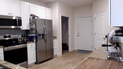 Snapshot of holihurricane chatting on 24, 9, 2025 Holi Hurricane online show from 24, 9, 2025