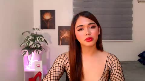hollywoodstareme online show from 11, 7, 2026