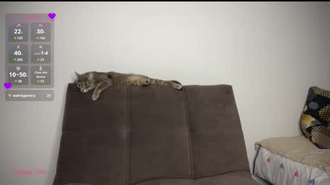 Vio online show from 1, 3, 2025