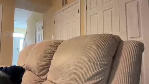 honey_man14 online show from 17, 2, 2025