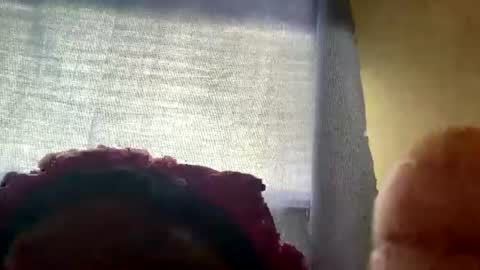 honeybaby44446 online show from 11, 7, 2026