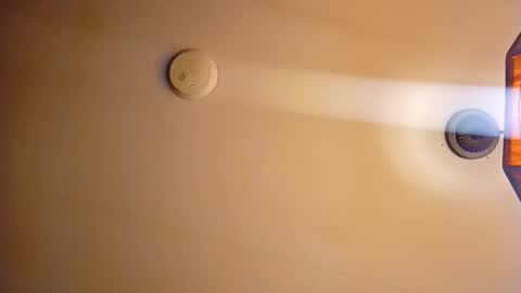 honeybear2026 online show from 16, 12, 2025