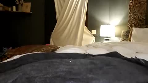 Snapshot of honeyhive_4u chatting on 17, 10, 2025 Honey online show from 17, 10, 2025