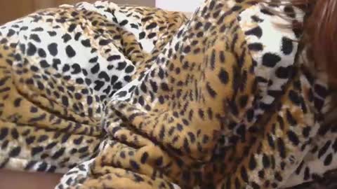 Snapshot of horny_hey chatting on 22, 2, 2025 Serena online show from 22, 2, 2025