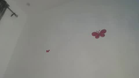 Iris online show from 20, 11, 2025