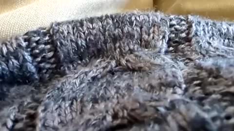 Snapshot of hornyallthetime6969696969 chatting on 2, 3, 2025 Tiny cock online show from 2, 3, 2025