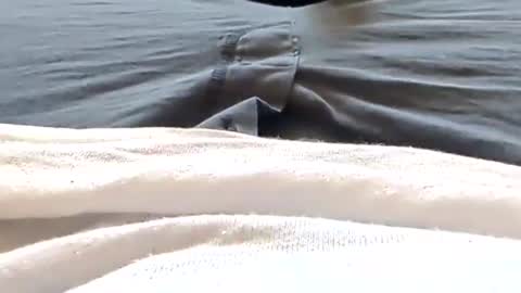 Tiny cock online show from 25, 4, 2026