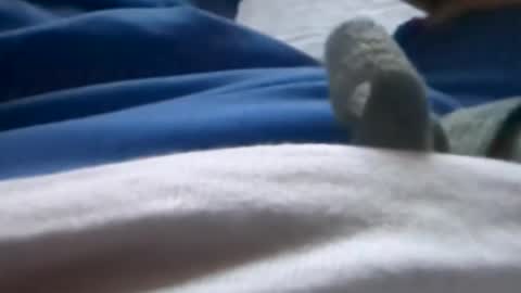 Snapshot of hornyallthetime6969696969 chatting on 8, 7, 2026 Tiny cock online show from 8, 7, 2026