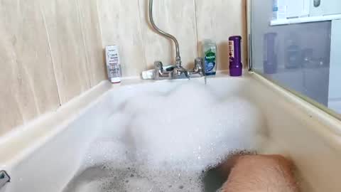 hornybiker1987 online show from 25, 11, 2025