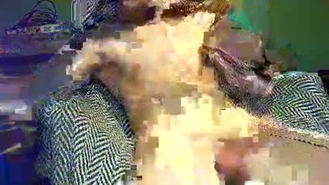 Snapshot of hornycocxxx chatting on 9, 3, 2025 hornycocxxx online show from 9, 3, 2025