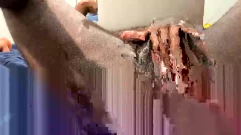 Snapshot of hornyftmguy82 chatting on 18, 12, 2024 hornyftmguy82 online show from 18, 12, 2024
