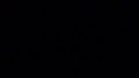 horsebrowm online show from 2, 1, 2025