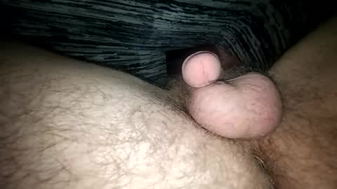 horsecock9748 online show from 12, 2, 2025