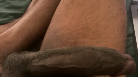 Snapshot of horsedick1236 chatting on 3, 2, 2026 Bbc horsey online show from 3, 2, 2026