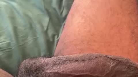 Snapshot of horsedick1236 chatting on 11, 2, 2026 Bbc horsey online show from 11, 2, 2026