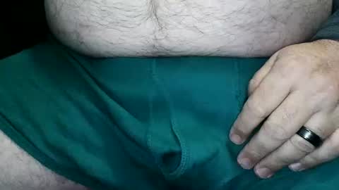 horsesaslife online show from 26, 12, 2024