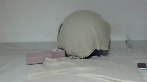 Sally silly wily online show from 7, 3, 2026