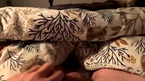 hot_for_you_ online show from 18, 10, 2025