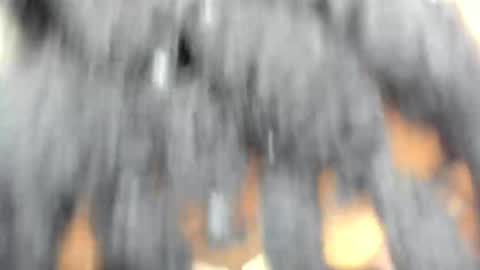 Snapshot of hot_moxie chatting on 15, 11, 2025 hot_moxie online show from 15, 11, 2025